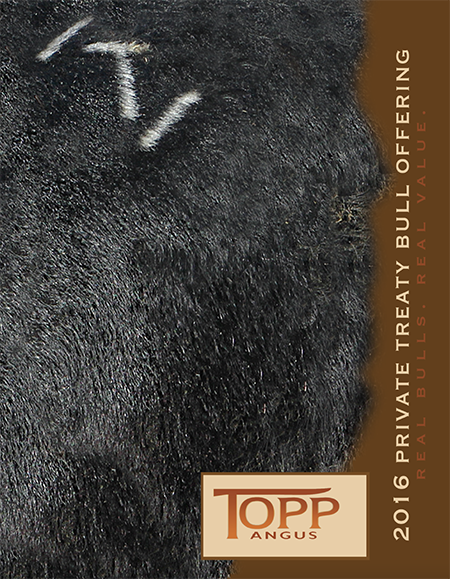 2016 Topp Angus Private Treaty Bull Catalog