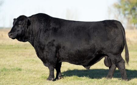 WERN-Eminence-1010_25 WERN Eminence 1010