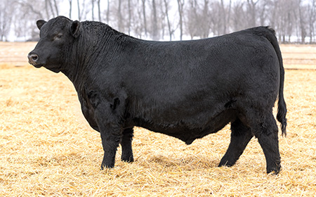 4696 Topp Standard 4696